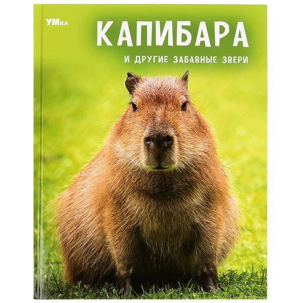 Капибара и другие забавные звери. Энциклопедия. 197х255мм. 7БЦ. 48 стр. Умка в кор.15шт