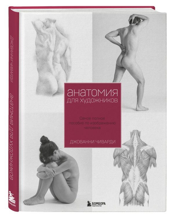 Анатомия для художника. Самое полное пособие по изображению человека