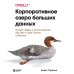 Корпоративное озеро больших данных. Новый подход к использованию Big Data и Data Science в бизнесе