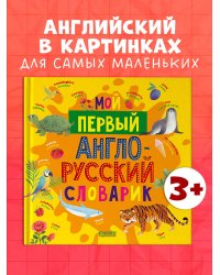 Мой первый английский. Мой первый англо-русский словарик