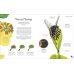 Дополнительное изображение книги «The Secret World of Plants (Ben Hoare) Тайный мир растений (Бен Хоар) / Книги на английском языке»