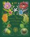 Обложка книги «The Secret World of Plants (Ben Hoare) Тайный мир растений (Бен Хоар) / Книги на английском языке», ISBN 9780241563526