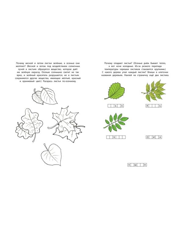 Знакомимся с природой (5-6 лет)