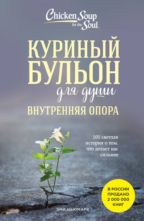 Куриный бульон для души Куриный бульон для души. Внутренняя опора. 101 светлая история о том, что делает нас сильнее