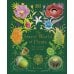 Дополнительное изображение книги «The Secret World of Plants (Ben Hoare) Тайный мир растений (Бен Хоар) / Книги на английском языке»