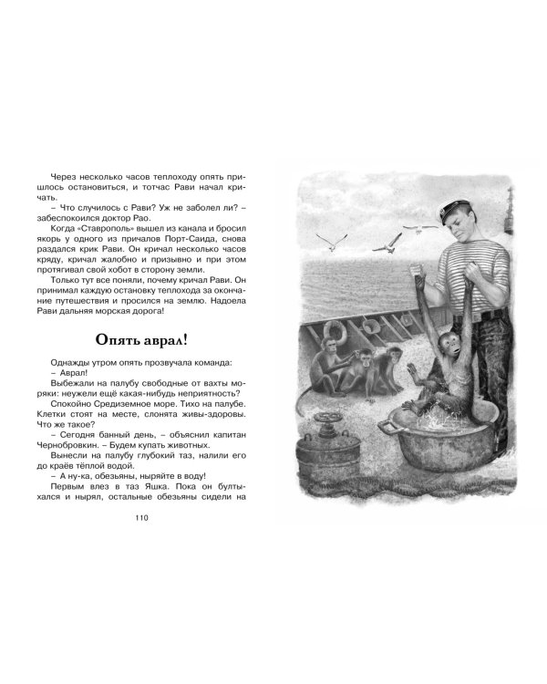 Зачем белке хвост. Рассказы и повесть