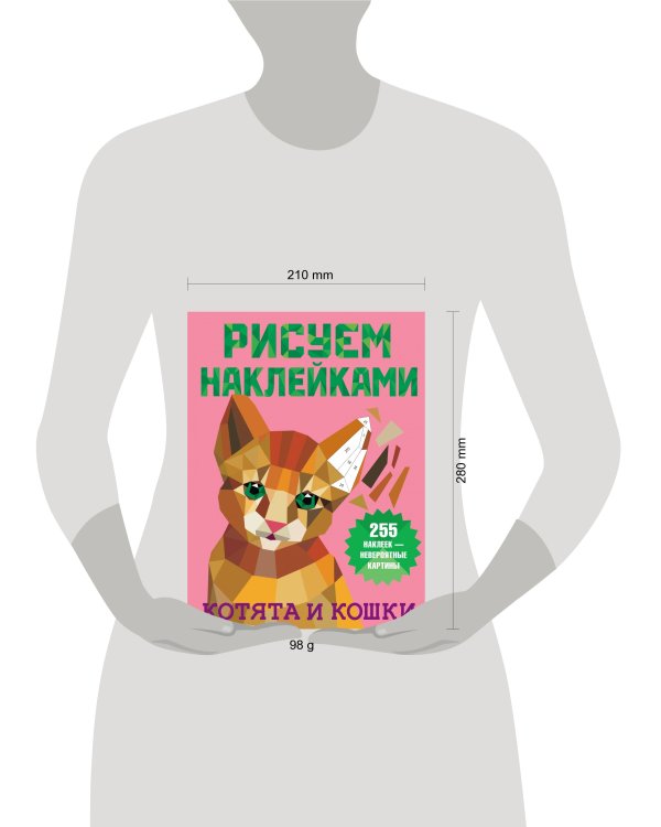 Котята и кошки