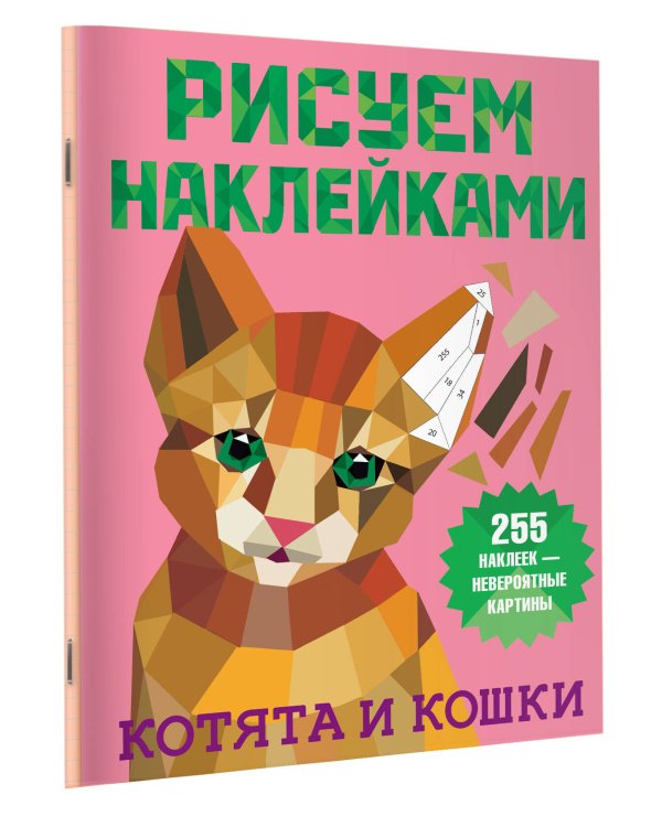 Котята и кошки