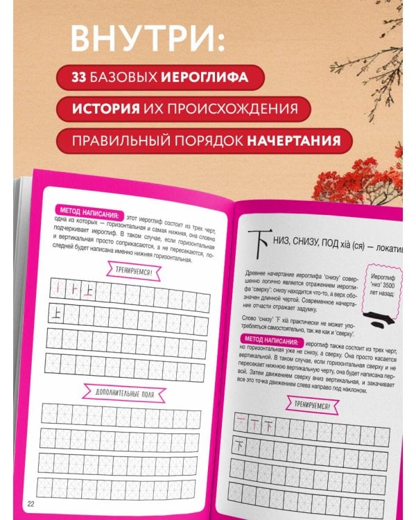 Дополнительное изображение книги «Набор для изучающих китайский язык с нуля. Легкий старт в китайском! (ИК)»