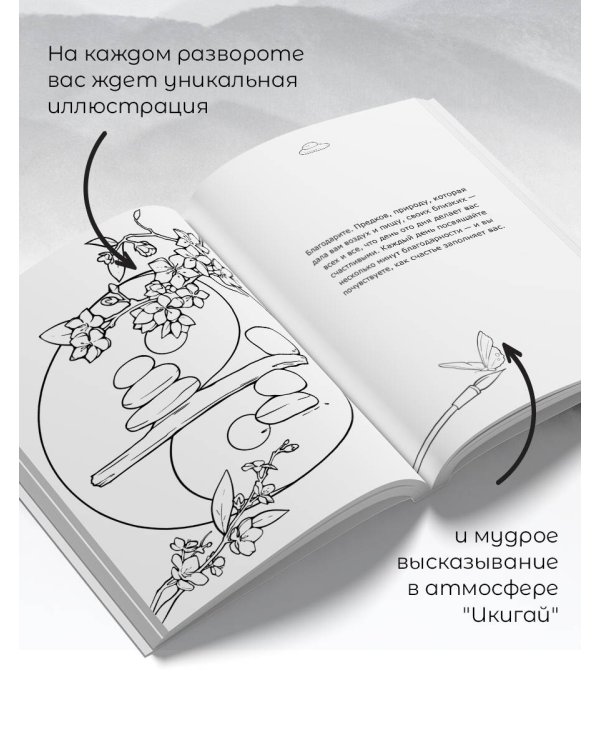 Икигай: предназначение здесь и сейчас