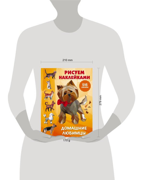 Домашние любимцы