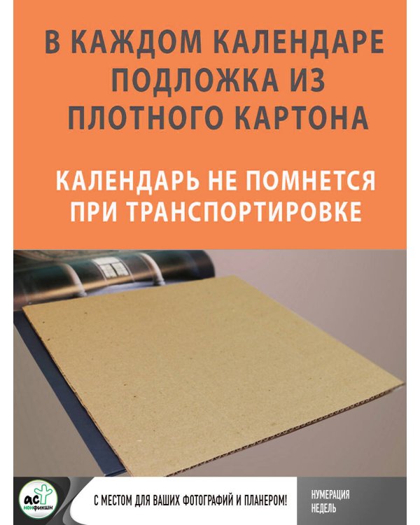 Милые кавай-котики. Календарь семейного досуга 2026