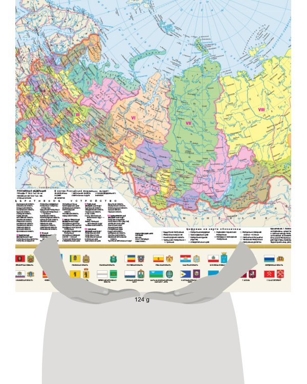 Политическая карта мира с флагами. Федеративное устройство России с флагами А1