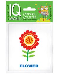 Умный малыш. ENGLISH. Растения