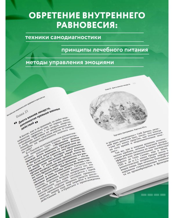 Традиционная китайская медицина. Современное руководство по древнему искусству «войны» с болезнями