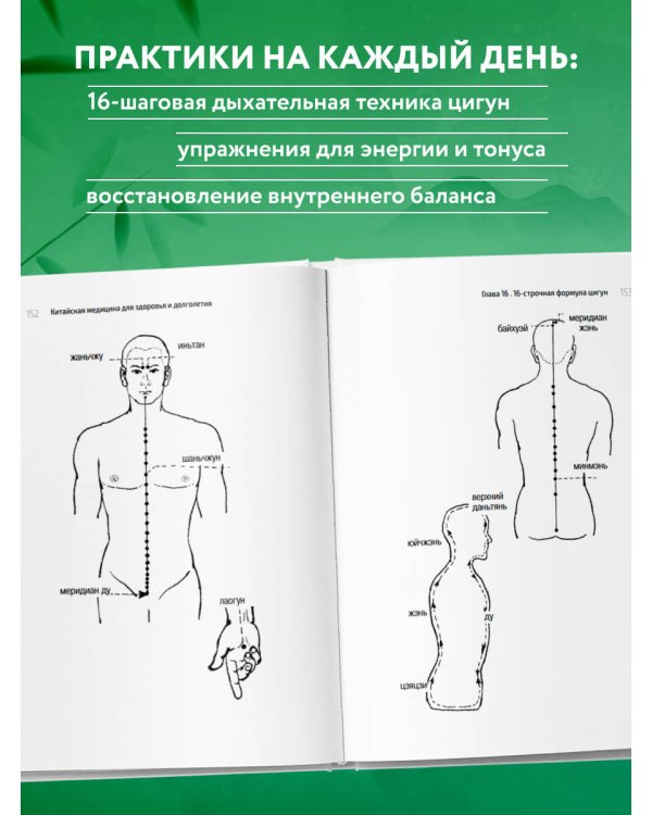 Традиционная китайская медицина. Современное руководство по древнему искусству «войны» с болезнями