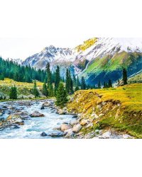 Алмаз мозаика (блест.) 30х40 см,с подр.,с полн.заполн.цв.Красоты горной реки.( Арт. AS34046)