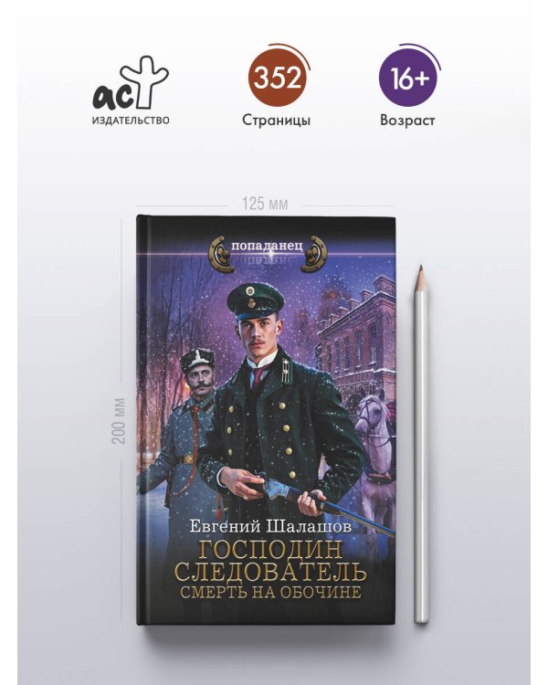 Господин следователь. Смерть на обочине