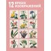 Цветы Пьера-Жозефа Редуте. Ботаническая классика. Календарь настенный на 2027 год (300х300 мм)