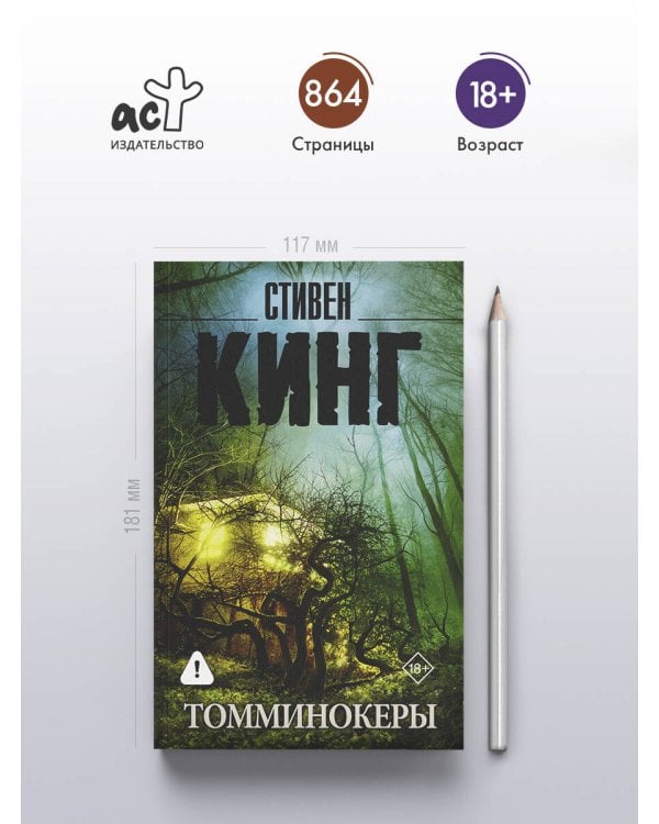 Дополнительное изображение книги «Томминокеры»