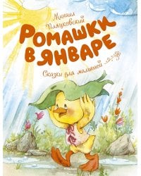 Ромашки в январе