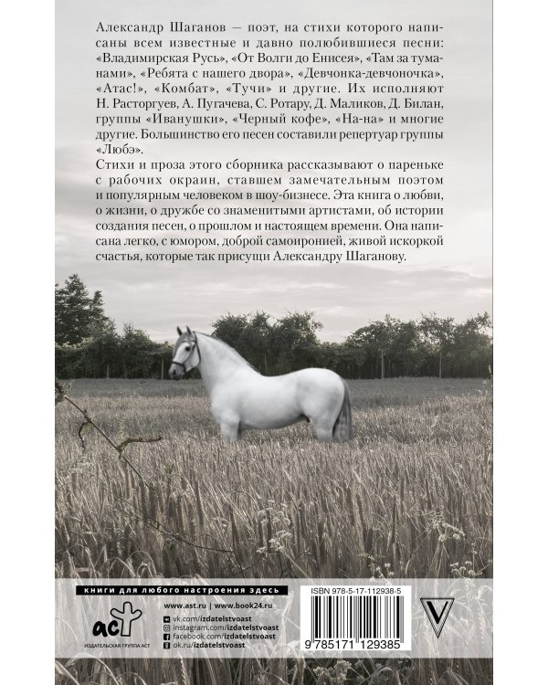 Мы пойдем с конем по полю вдвоем...