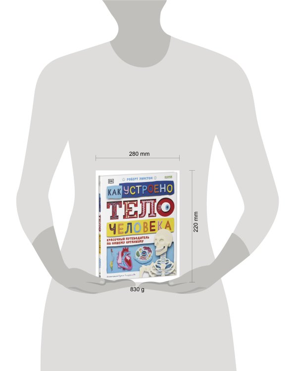 Удивительные энциклопедии. Как устроено тело человека. Красочный путеводитель по нашему организму