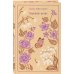 Набор "Маленькие женщины. Истории их жизней" (из 2 книг: "Маленькие женщины", "Хорошие жены")