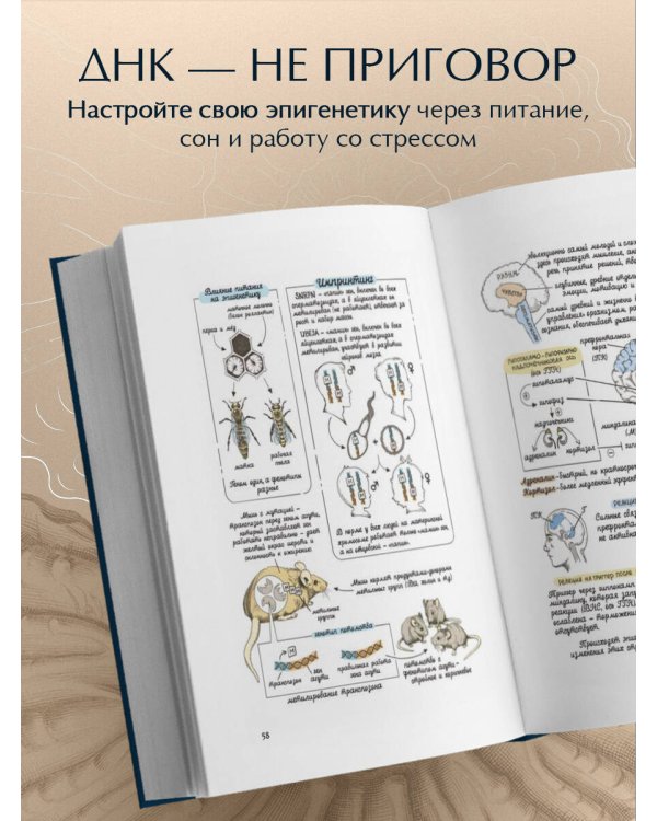 Предки завещали опасаться. Как травматическое наследие влияет на нашу жизнь и что можно изменить