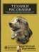 Техники рисования. Графит, цветные карандаши, уголь, пастель, тушь, сангина, восковые мелки, фломастеры и др.
