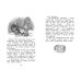 Волшебная пилюля, или Приключения жёлтого чемоданчика - 2