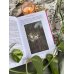 Дополнительное изображение книги «Колдуньи на Руси. Гадания на курице, Бабье царство и духи Оки»