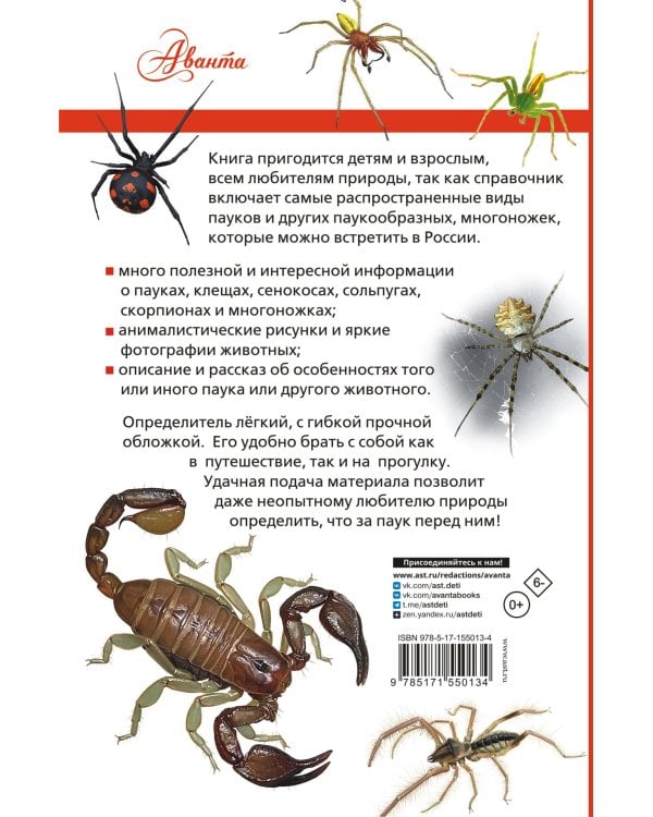 Пауки, скорпионы и многоножки России