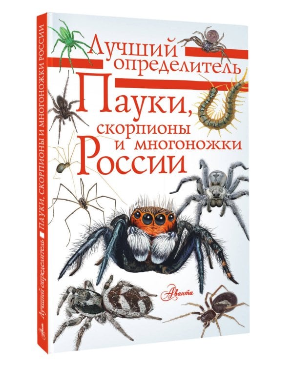Пауки, скорпионы и многоножки России