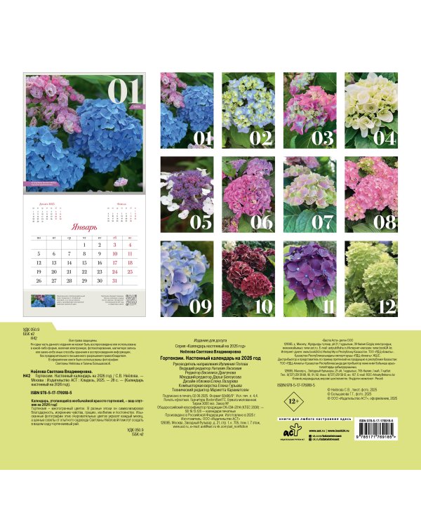 Гортензии. Настенный календарь на 2026 год