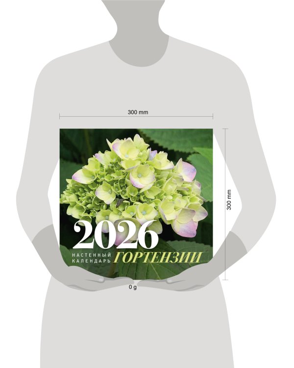 Гортензии. Настенный календарь на 2026 год