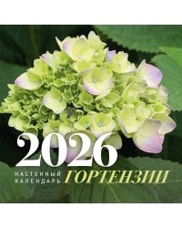 Гортензии. Настенный календарь на 2026 год