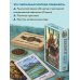 Викинги. Рунический оракул (45 карт и руководство в коробке)