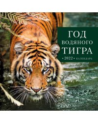 Год водяного тигра. Календарь настенный на 2022 год (300х300 мм)