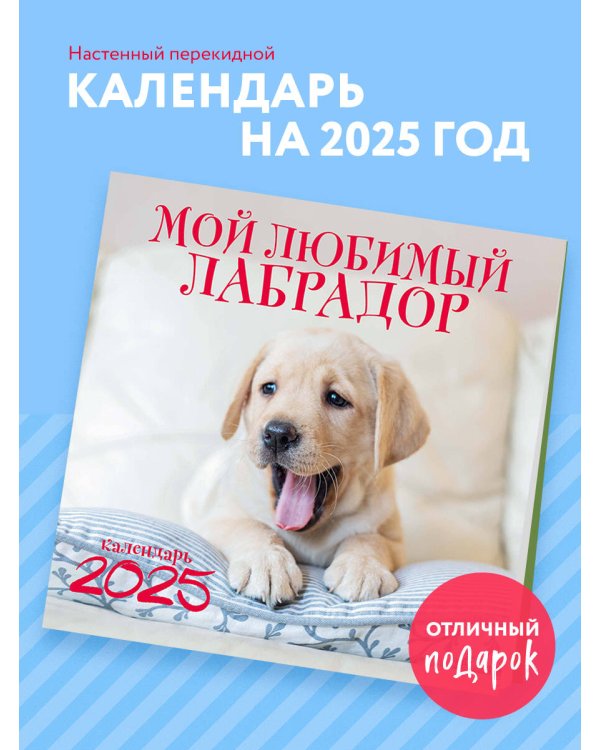 Мой любимый лабрадор. Календарь настенный на 2025 год (300х300 мм)