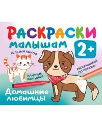 Домашние любимцы