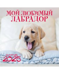 Мой любимый лабрадор. Календарь настенный на 2025 год (300х300 мм)