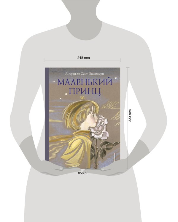 Маленький принц (ил. Н. Гольц)