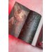 Дополнительное изображение книги «Преступная связь»