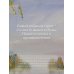 Кашемировая книга. Теплые истории, которые согреют душу и отвлекут от забот