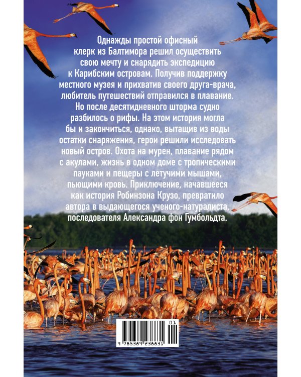 Остров тысячи тайн: невероятная история жизни двух ученых на необитаемом острове