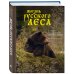 Подарочные издания. Энциклопедии животных Жизнь русского леса (издание дополненное и переработанное) (медведь)