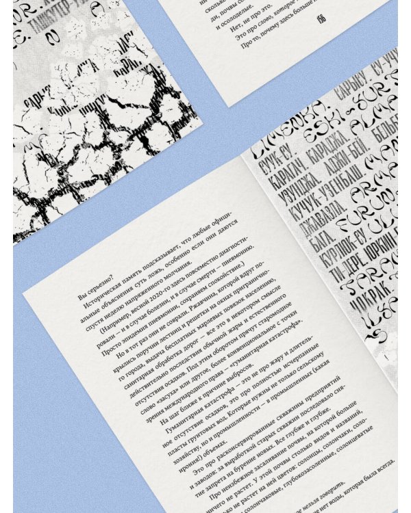 Дополнительное изображение книги «Невидимые голоса»