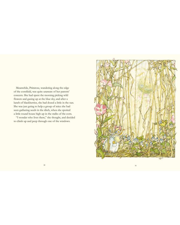 Дополнительное изображение книги «Complete Brambly Hedge (Jill Barklem) Еживичная поляна (Джилл Барклем) / Книги на английском языке»