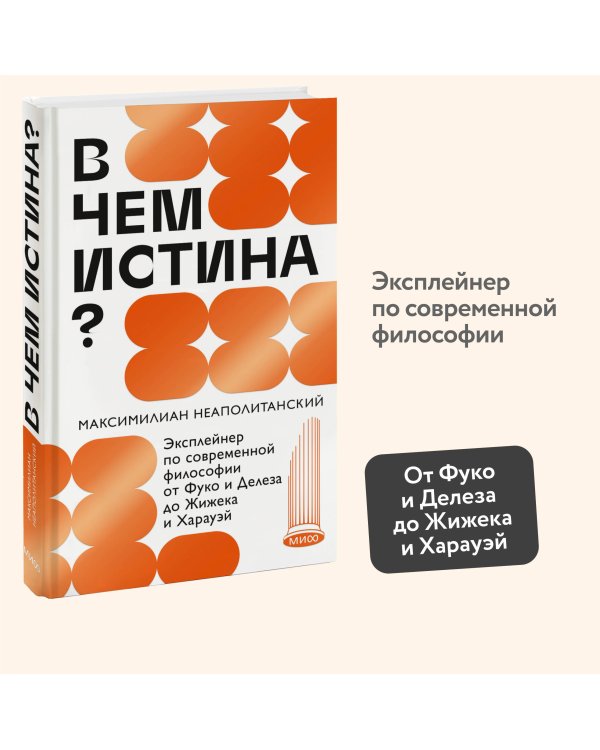 Дополнительное изображение книги «В чем истина? Эксплейнер по современной философии от Фуко и Делеза до Жижека и Харауэй»